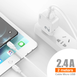 *OFERTA Charger 2USB 2.4A + Micro 2M - D81B