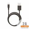 Cable Mini-USB V3 1M 2A - C05A