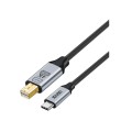 Cable USB-C to Mini DP 1.8M - K32A