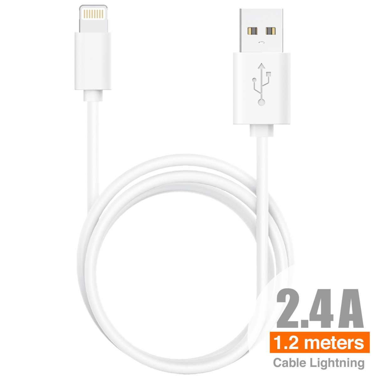 ECO Cable Lightning 1,2M 2,4A - C12B