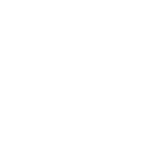 0 Plasticos